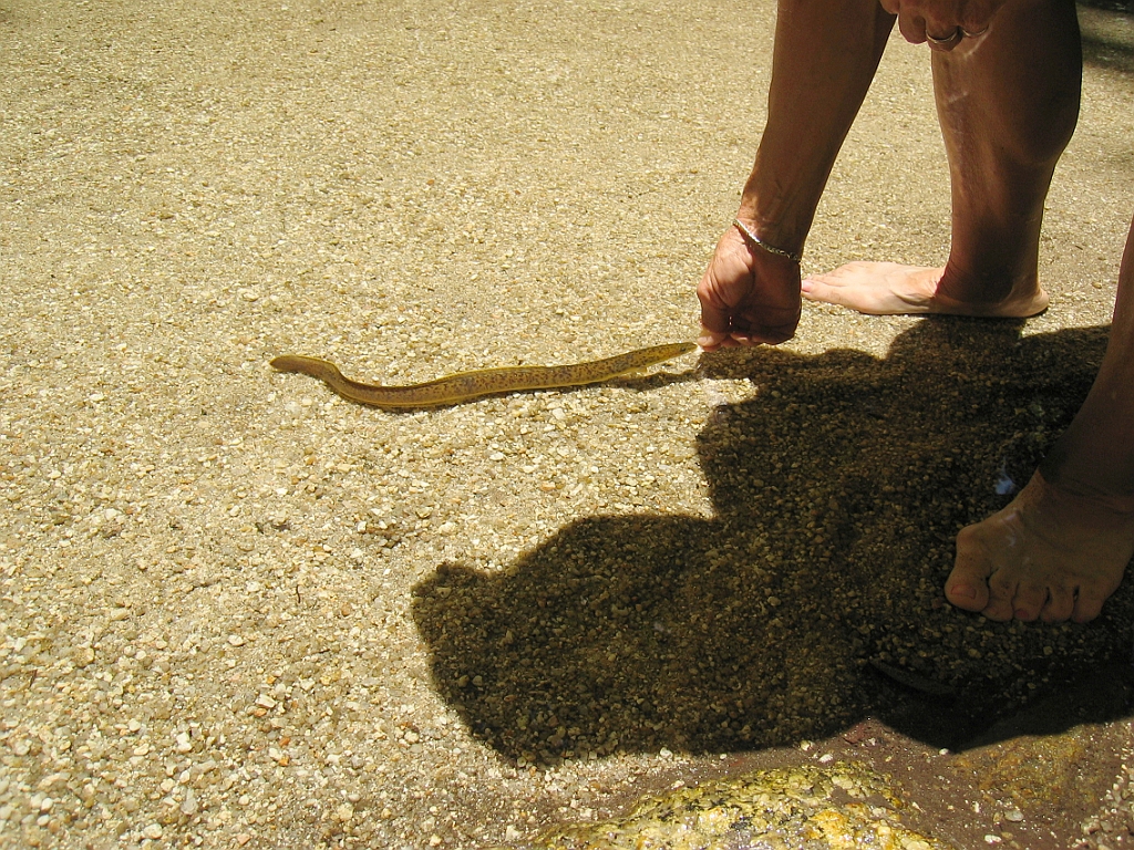 230 Mossman Gorge.jpg